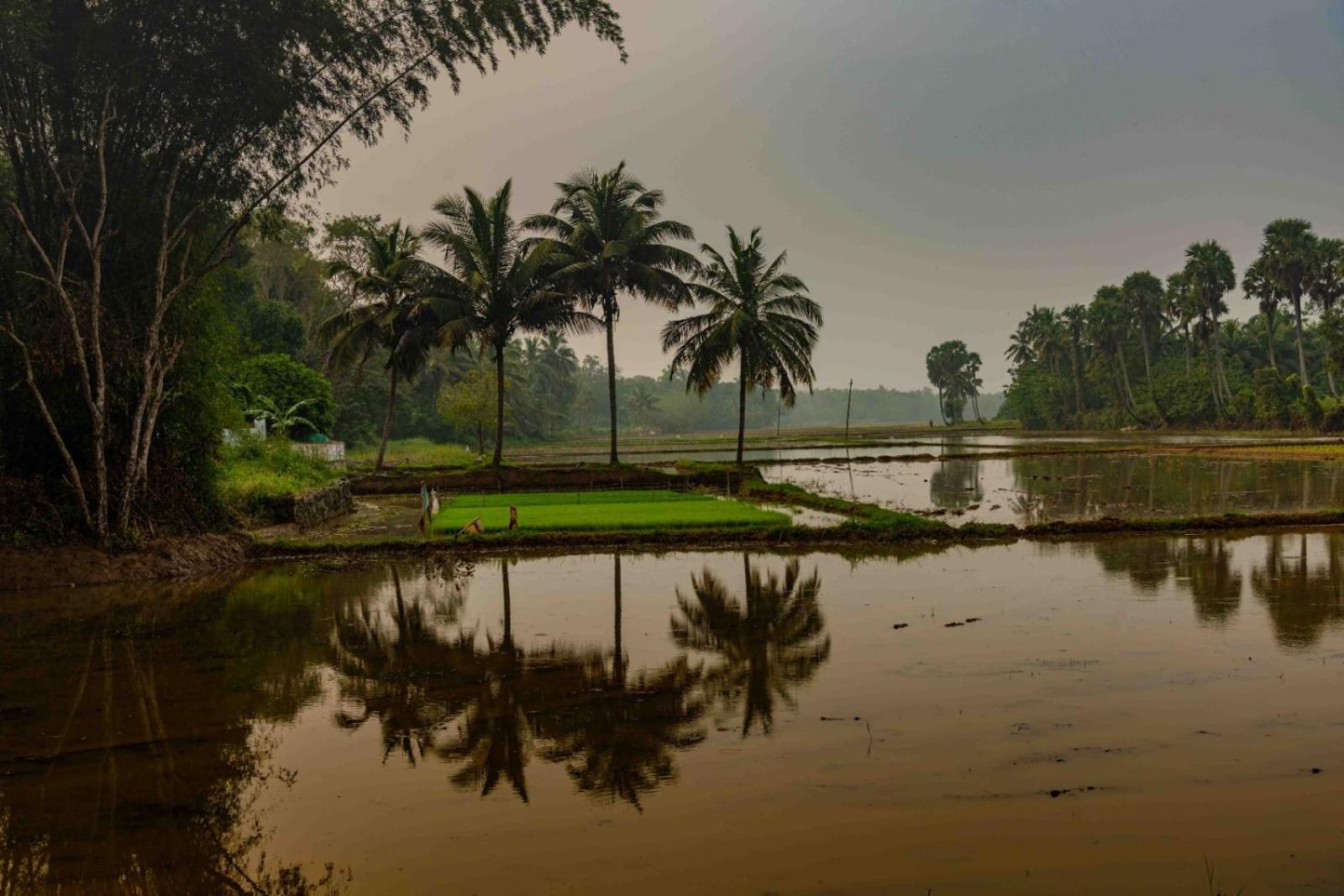 फार्म स्टे Vintage Vista