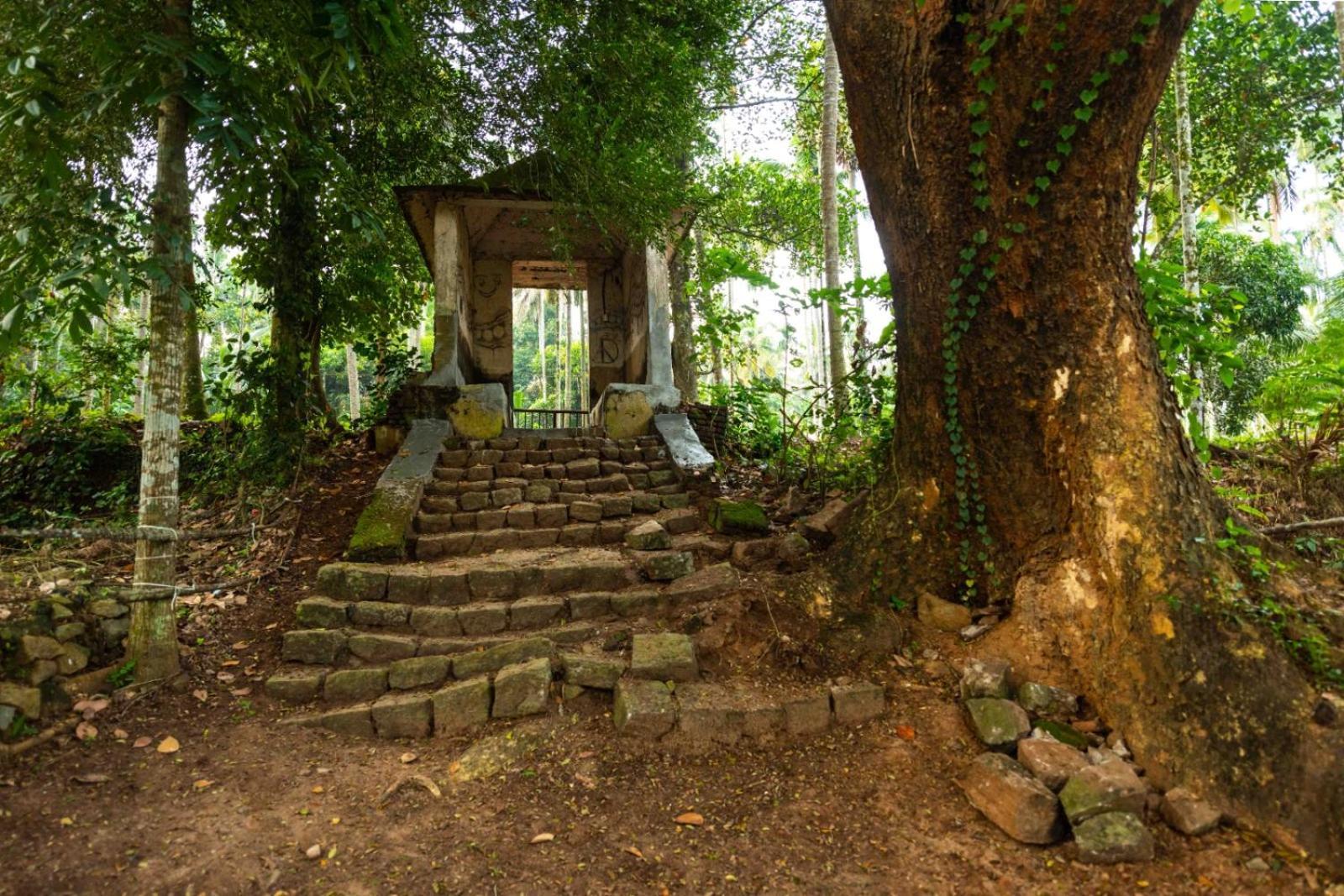 फार्म स्टे Vintage Vista Lakkidi