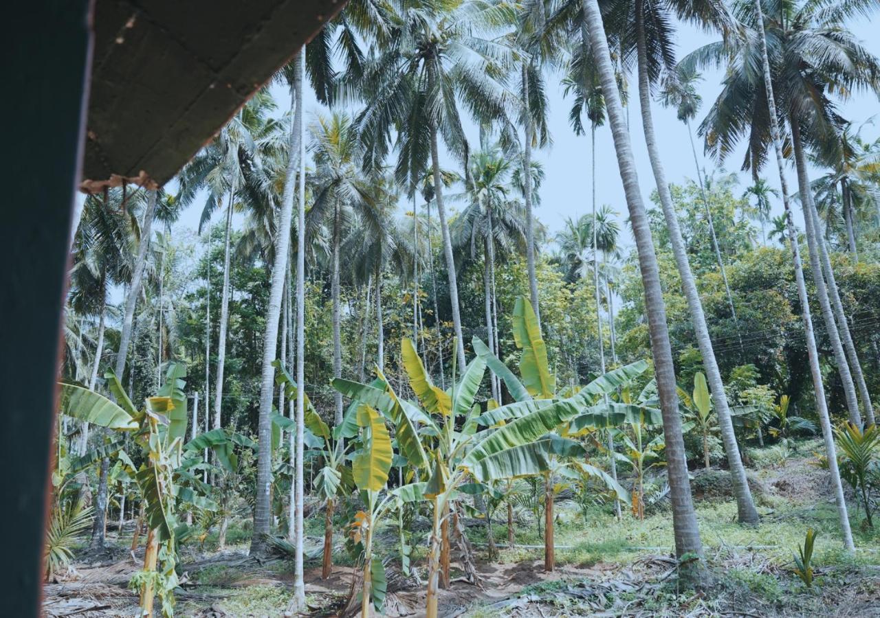 Vintage Vista फार्म स्टे Lakkidi