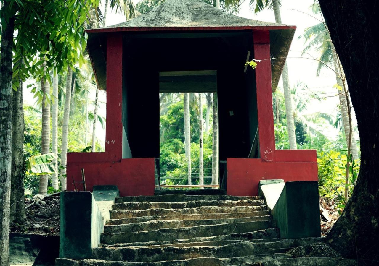 Vintage Vista * Lakkidi