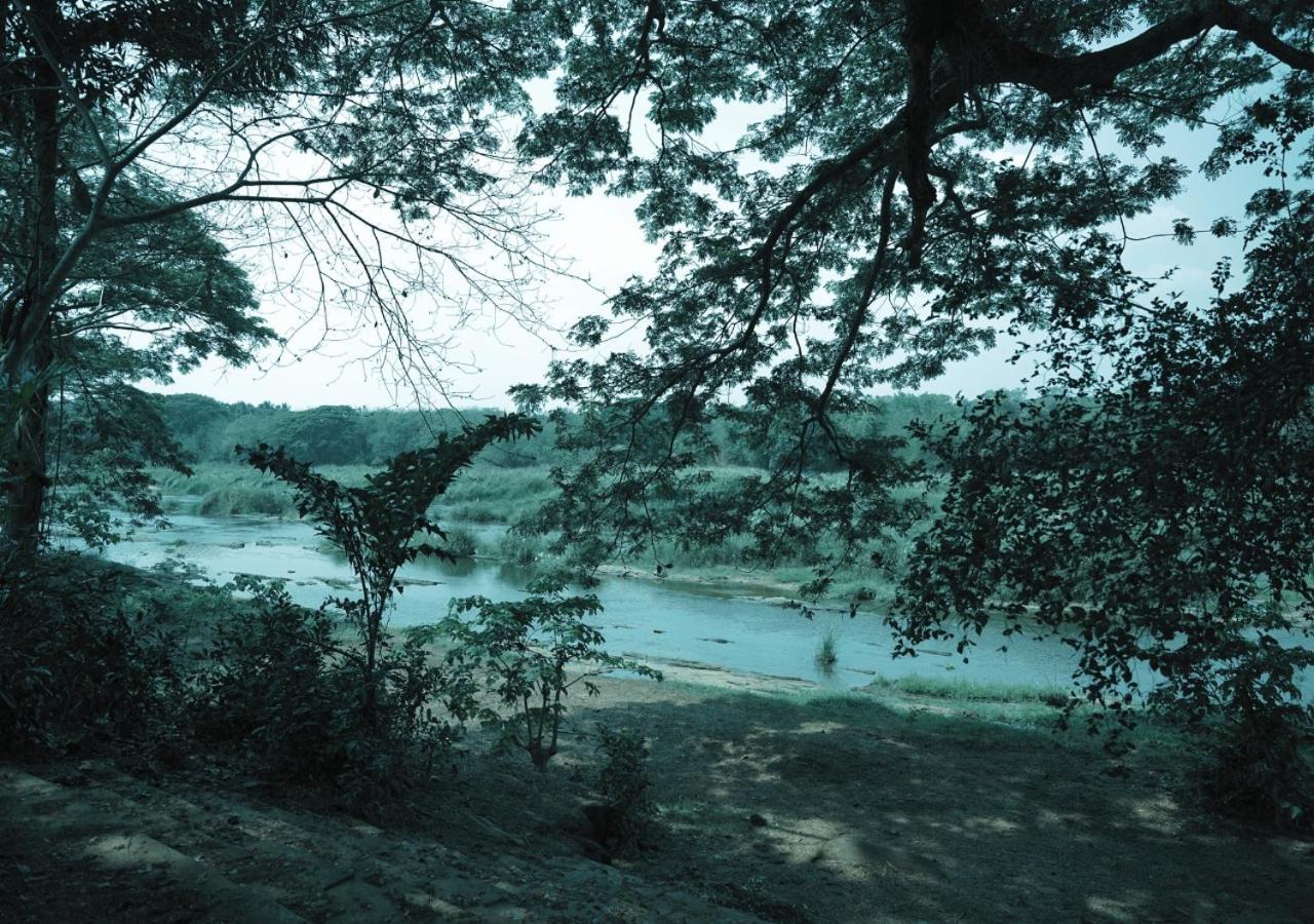 फार्म स्टे Vintage Vista