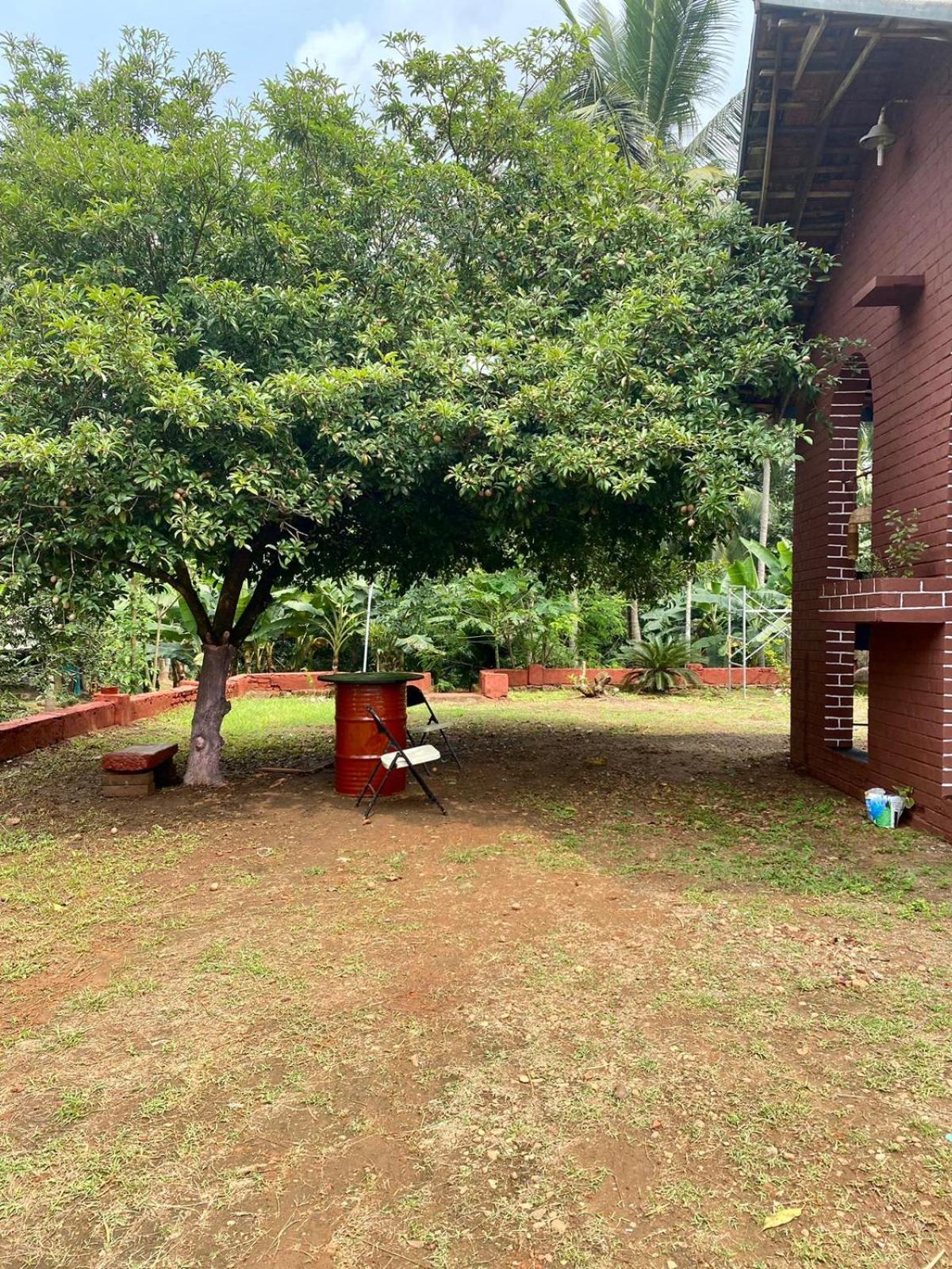 Vintage Vista Farm stay Lakkidi