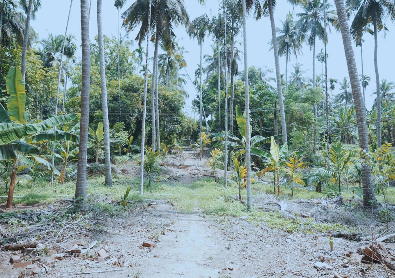 Vintage Vista Farm stay Lakkidi
